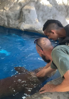 Foto de colaborador da Preservalle acariciando um peixe