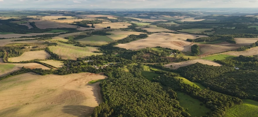 Foto do plantio de soja, pastagem e silvicultura, tirada por um drone