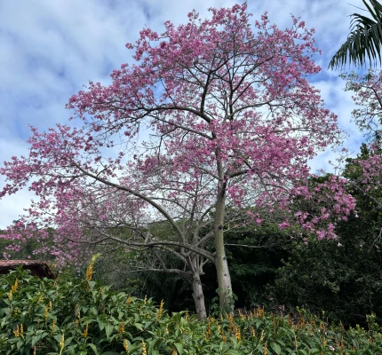 Foto de uma igreja próximo a uma área de erosão