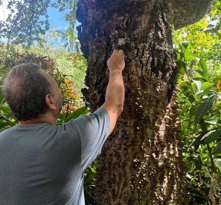 Foto de uma igreja próximo a uma área de erosão