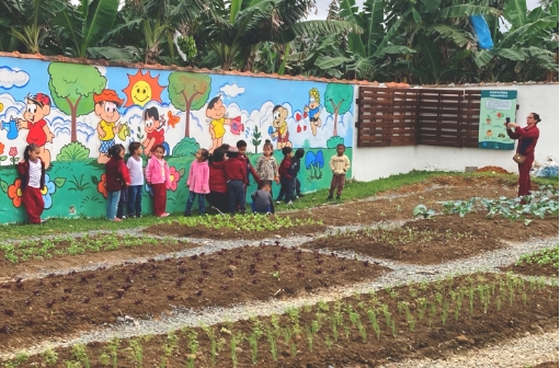 Foto de diversas pessoas em uma horta
