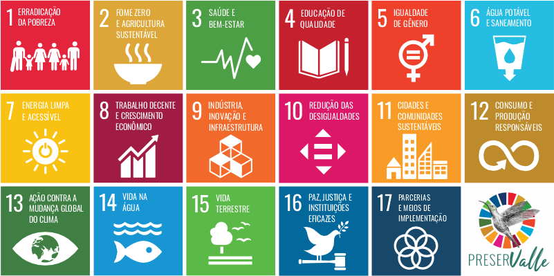 Grid dos 17 Objetivos de Desenvolvimento Sustentável da ONU